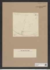 Hyalodiscus sp. (de-Toni-Nr.: Genus 219) Zeichnungen Sammlung Grunow Nr. 9457 (NHMW-BOT-W0379321)